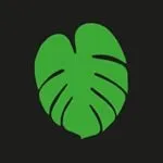 House Of Kojo discount code